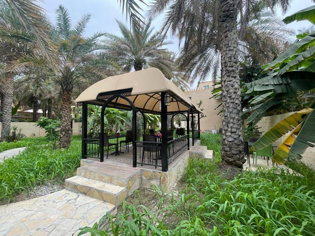Date Palm * Nizwa
