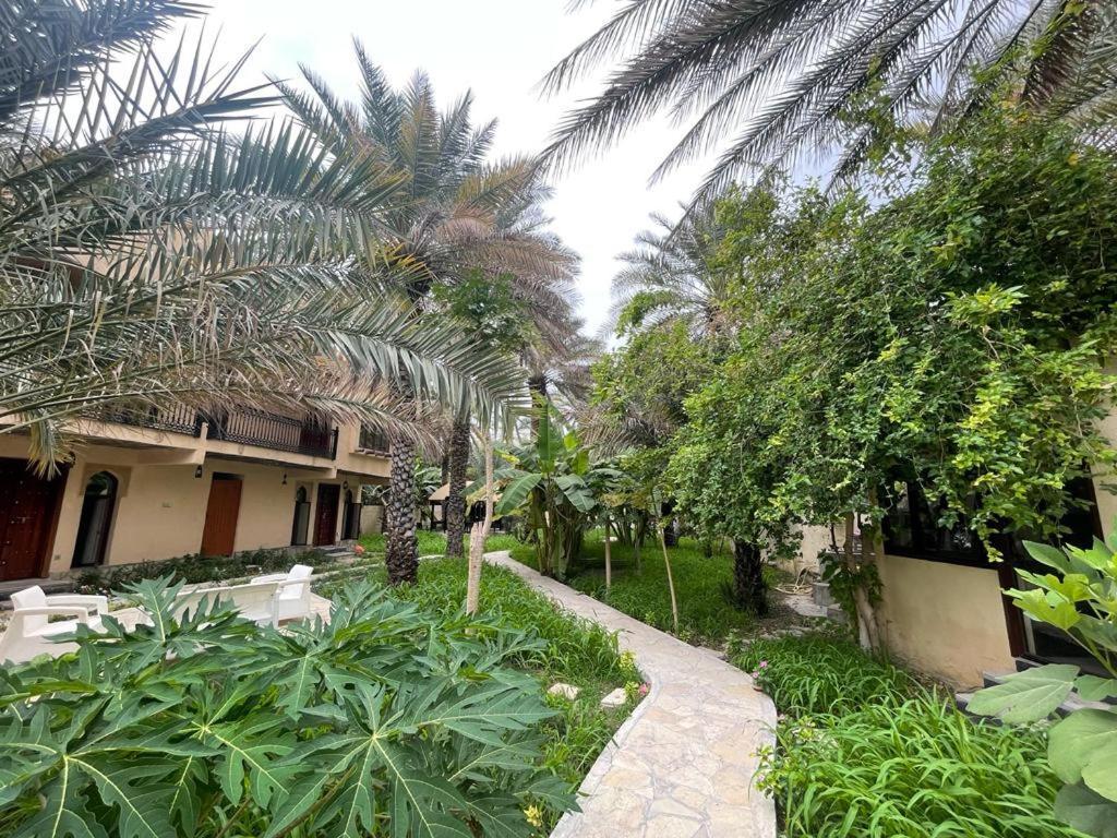 Date Palm Farm stay *